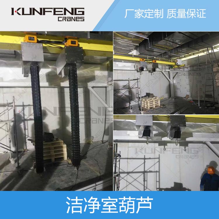 5吨洁净室天起重机