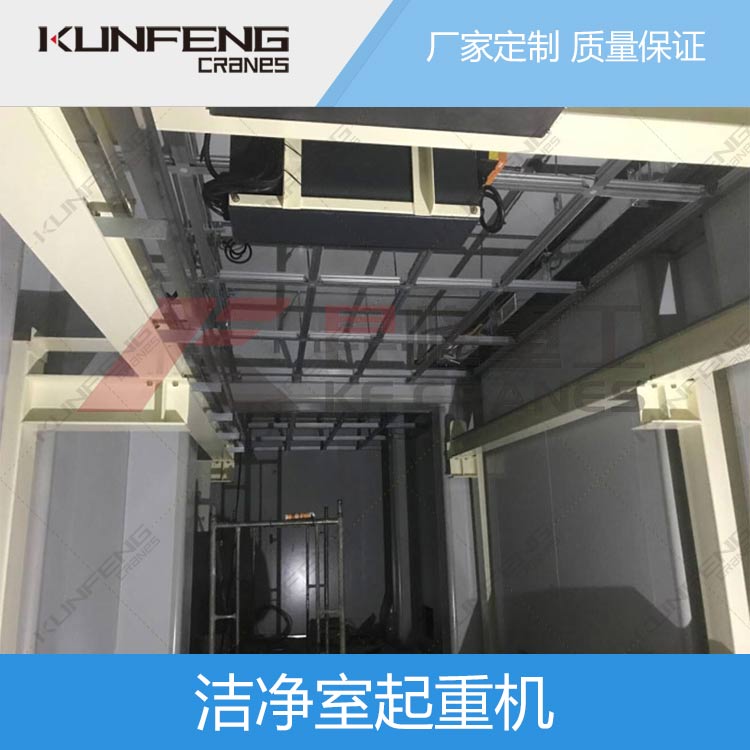 十万级洁净起重机
