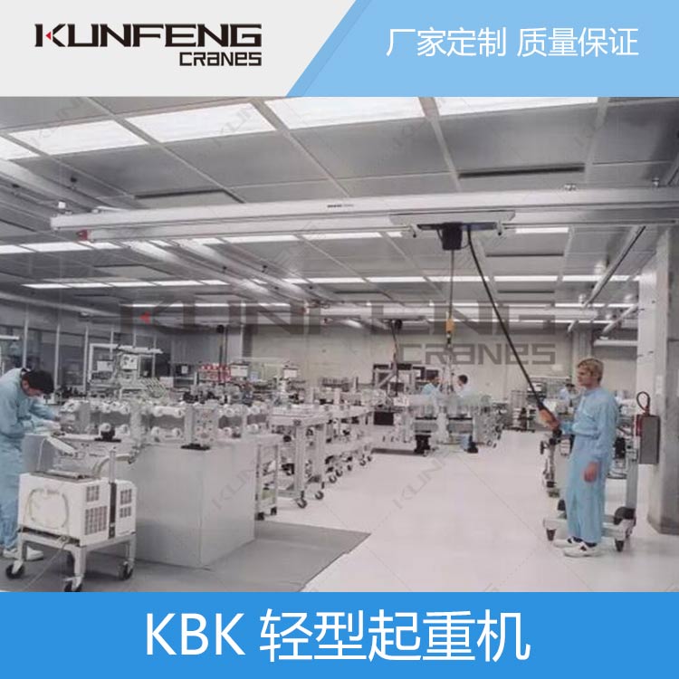 洁净轻型行吊