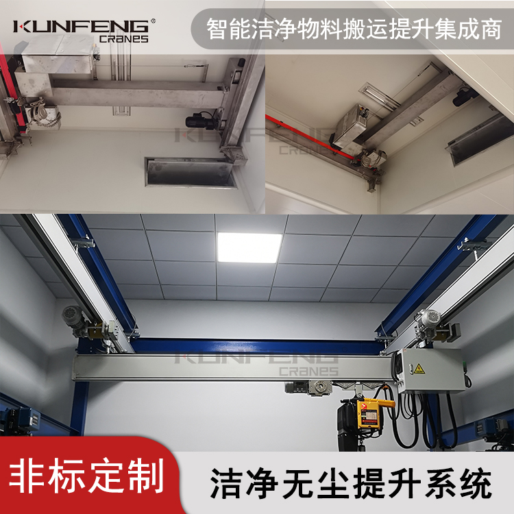 智能仪器仪表行业洁净起重机