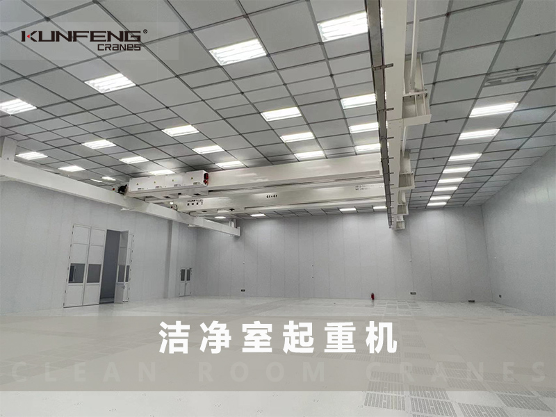 纤维带桥式起重机